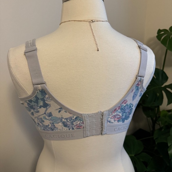 Lane Bryant Bra - Picture 8 of 12